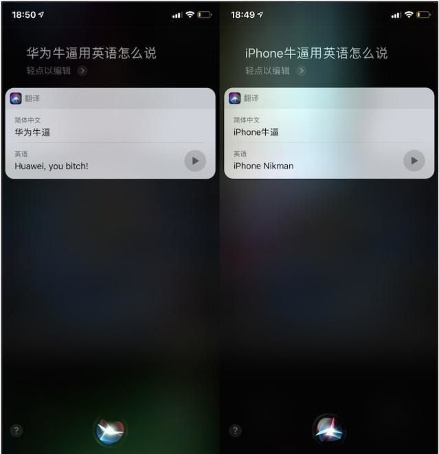 苹果siri现侮辱性翻译 连自家老板也"骂"什么情况?-lmlphp