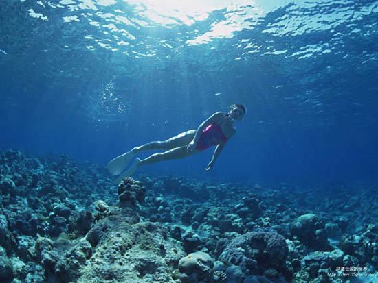 5,打开一张海底的素材图片.